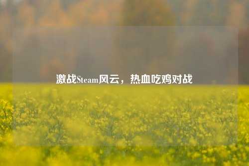 激战Steam风云，热血吃鸡对战
