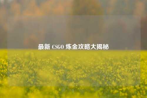 最新 CSGO 炼金攻略大揭秘