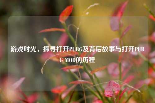 游戏时光，探寻打开PUBG及背后故事与打开PUBG MOD的历程