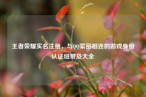 王者荣耀实名注册，与QQ紧密相连的游戏身份认证纽带及大全