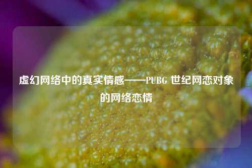 虚幻网络中的真实情感——PUBG 世纪网恋对象的网络恋情
