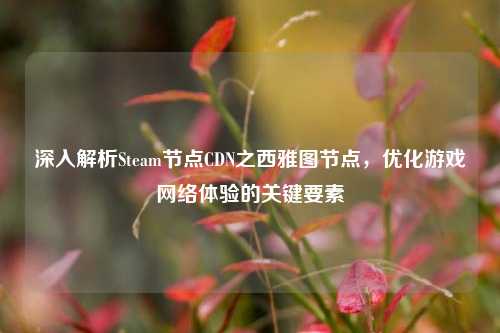 深入解析Steam节点CDN之西雅图节点，优化游戏网络体验的关键要素