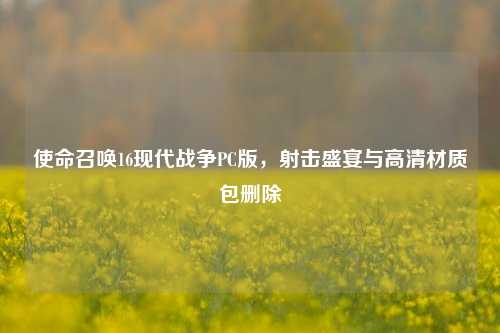使命召唤16现代战争PC版，射击盛宴与高清材质包删除