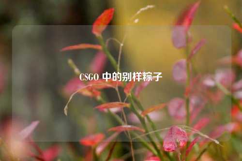 CSGO 中的别样粽子