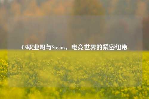 CS职业哥与Steam，电竞世界的紧密纽带