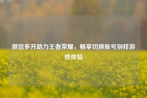 微信多开助力王者荣耀，畅享切换账号别样游戏体验