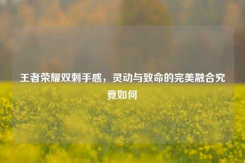 王者荣耀双刺手感，灵动与致命的完美融合究竟如何