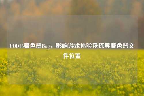COD16着色器Bug，影响游戏体验及探寻着色器文件位置