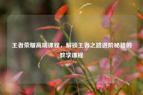 王者荣耀高端课程，解锁王者之路进阶秘籍的教学课程