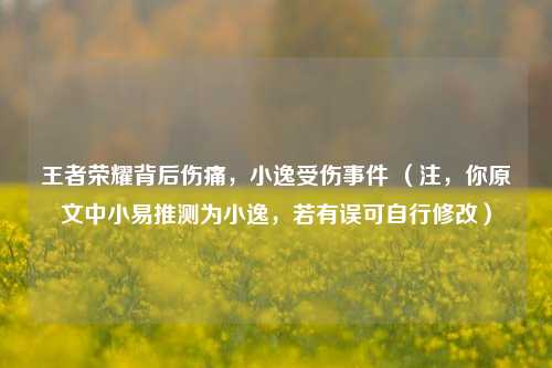 王者荣耀背后伤痛，小逸受伤事件 （注，你原文中小易推测为小逸，若有误可自行修改）