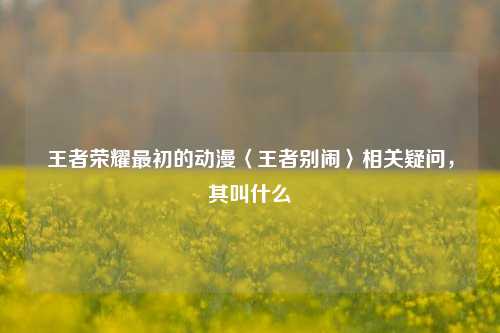 王者荣耀最初的动漫〈王者别闹〉相关疑问，其叫什么