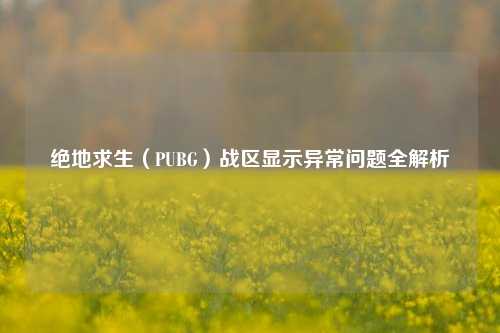 绝地求生（PUBG）战区显示异常问题全解析
