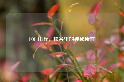 LOL 山丘，峡谷里的神秘所在