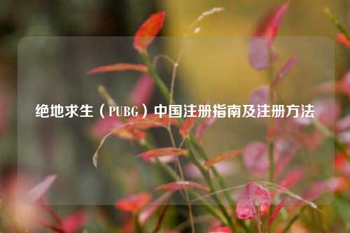 绝地求生（PUBG）中国注册指南及注册方法