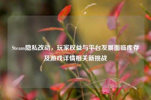 Steam隐私改动,玩家权益与平台发展面临库存及游戏详情相关新挑战