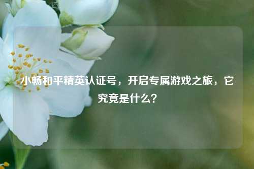 小畅和平精英认证号，开启专属游戏之旅，它究竟是什么？