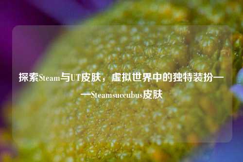 探索Steam与UT皮肤，虚拟世界中的独特装扮——Steamsuccubus皮肤