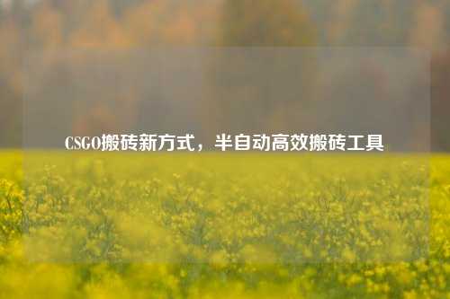 CSGO搬砖新方式，半自动高效搬砖工具