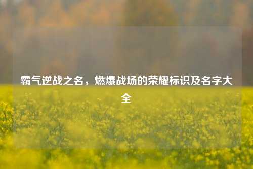 霸气逆战之名,燃爆战场的荣耀标识及名字大全