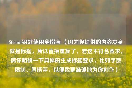 Steam 钥匙使用全指南 （因为你提供的内容本身就是标题，所以直接重复了，若这不符合要求，请你明确一下具体的生成标题要求，比如字数限制、风格等，以便我更准确地为你创作）