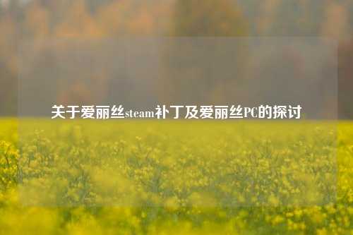 关于爱丽丝steam补丁及爱丽丝PC的探讨