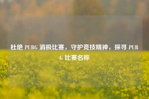 杜绝 PUBG 消极比赛,守护竞技精神,探寻 PUBG 比赛名称