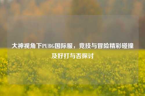 大神视角下PUBG国际服，竞技与冒险精彩碰撞及好打与否探讨
