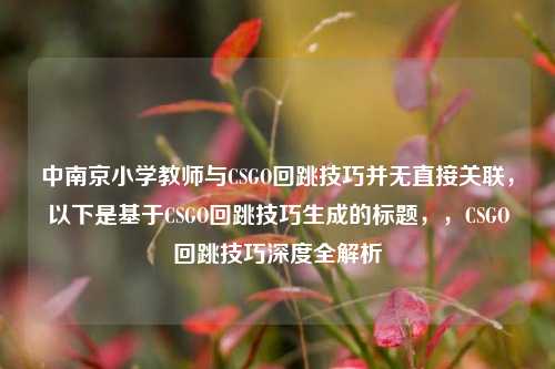 中南京小学教师与CSGO回跳技巧并无直接关联，以下是基于CSGO回跳技巧生成的标题，，CSGO回跳技巧深度全解析