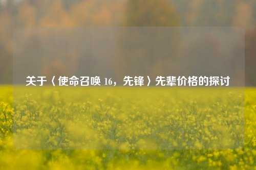 关于〈使命召唤 16,先锋〉先辈价格的探讨