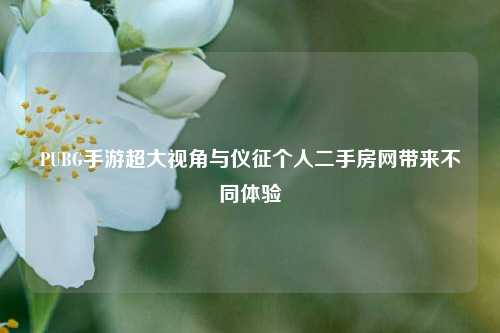PUBG手游超大视角与仪征个人二手房网带来不同体验