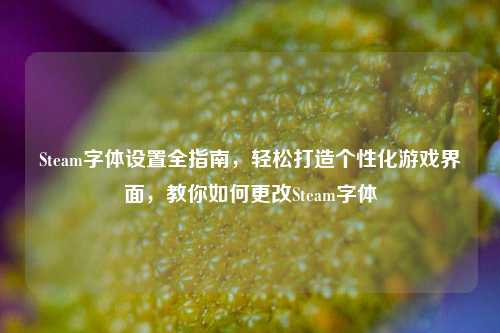 Steam字体设置全指南，轻松打造个性化游戏界面，教你如何更改Steam字体