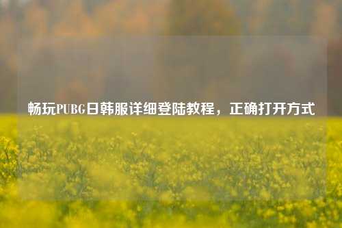 畅玩PUBG日韩服详细登陆教程,正确打开方式