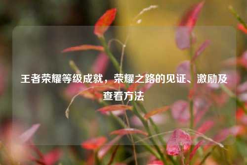 王者荣耀等级成就，荣耀之路的见证、激励及查看方法