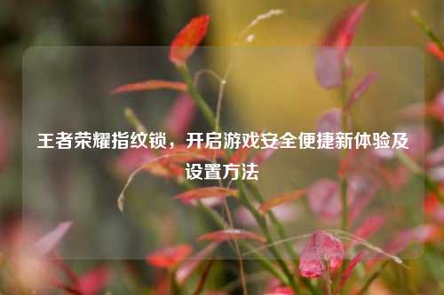 王者荣耀指纹锁，开启游戏安全便捷新体验及设置方法