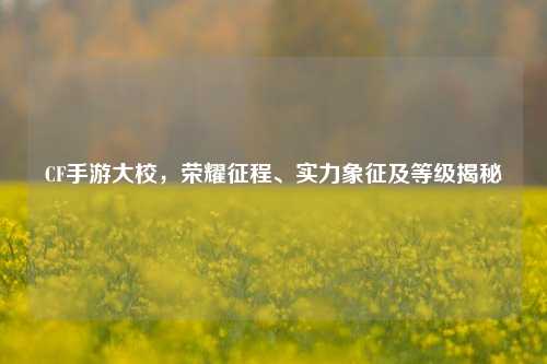 CF手游大校，荣耀征程、实力象征及等级揭秘