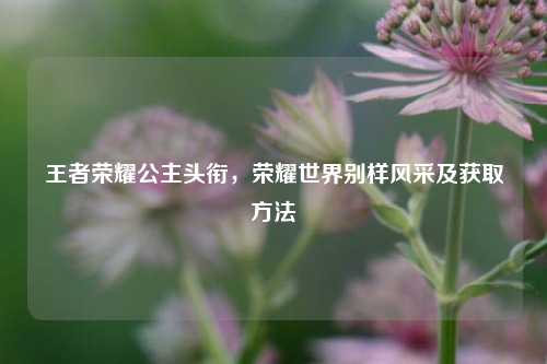 王者荣耀公主头衔，荣耀世界别样风采及获取方法