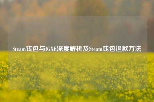 Steam钱包与IGXE深度解析及Steam钱包退款方法
