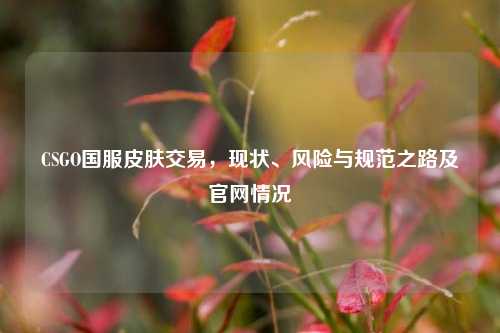 CSGO国服皮肤交易,现状、风险与规范之路及官网情况