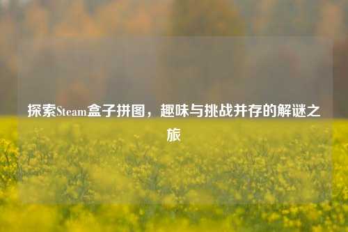 探索Steam盒子拼图,趣味与挑战并存的解谜之旅