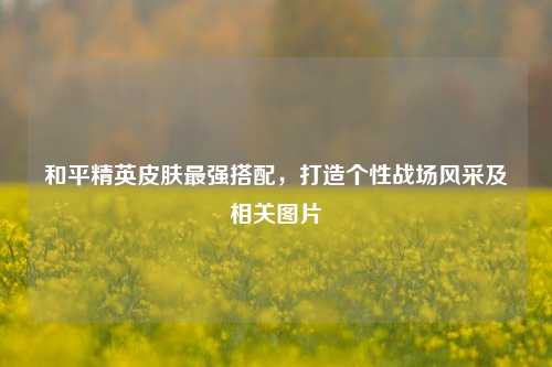 和平精英皮肤最强搭配，打造个性战场风采及相关图片