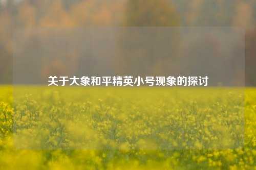 关于大象和平精英小号现象的探讨