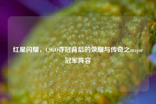 红星闪耀，CSGO夺冠背后的荣耀与传奇之major冠军阵容