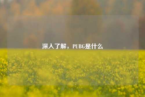 深入了解，PUBG是什么
