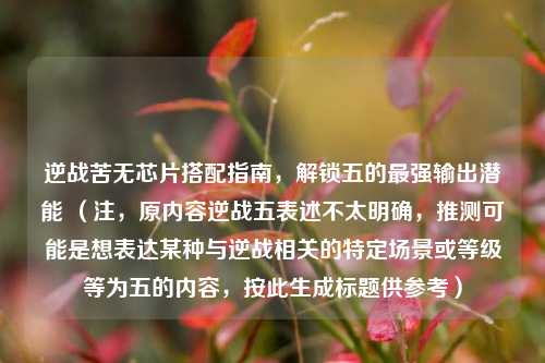 逆战苦无芯片搭配指南，解锁五的最强输出潜能 （注，原内容逆战五表述不太明确，推测可能是想表达某种与逆战相关的特定场景或等级等为五的内容，按此生成标题供参考）