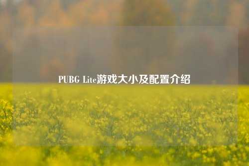 PUBG Lite游戏大小及配置介绍