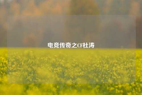电竞传奇之CF杜涛