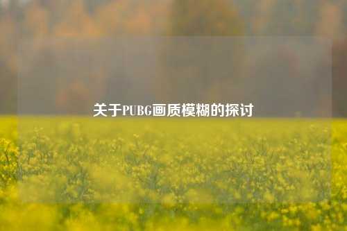 关于PUBG画质模糊的探讨
