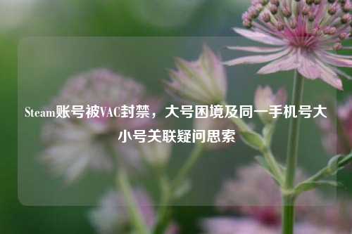 Steam账号被VAC封禁，大号困境及同一手机号大小号关联疑问思索