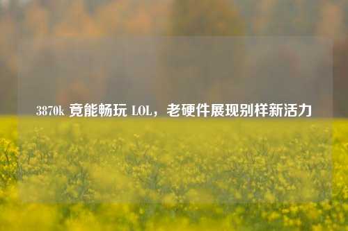3870k 竟能畅玩 LOL,老硬件展现别样新活力