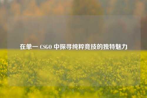在单一 CSGO 中探寻纯粹竞技的独特魅力